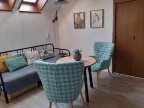 Apartmán U Zlaté Hvězdy I, Jindrichuv Hradec